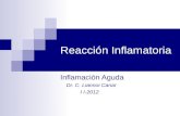 Reacción Inflamatoria Inflamación Aguda Dr. C. Liannoi Canar I I-2012.