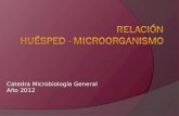Catedra Microbiología General Año 2012. Modelos de relación H-B SAPROFITOS viven libres en la naturaleza, su nutrición es variada y son la mayoría de.