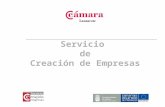 Servicio de Creación de Empresas. 2 1.- Presentación del Servicio Creación de Empresas.