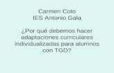 Carmen Coto IES Antonio Gala ¿Por qué debemos hacer adaptaciones curriculares individualizadas para alumnos con TGD?