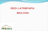 RED LATINPAPA BOLIVIA. Actividad Bol 01 Evaluación y selección de 36 clones avanzados de papa introducidos del CIP y 30 clones avanzados provenientes.
