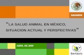 SENASICA Senasica ABRIL DE 2008 LA SALUD ANIMAL EN MÉXICO, SITUACION ACTUAL Y PERSPECTIVAS.