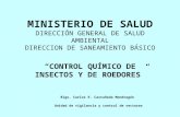MINISTERIO DE SALUD DIRECCIÓN GENERAL DE SALUD AMBIENTAL DIRECCION DE SANEAMIENTO BÁSICO CONTROL QUÍMICO DE INSECTOS Y DE ROEDORES Blgo. Carlos E. Castañeda.