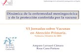 Epidemiología de la enfermedad meningocócica en España VI Jornadas sobre Vacunas en Atención Primaria. Valencia. Octubre de 2005 Amparo Larrauri Cámara.
