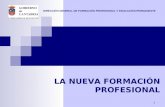 DIRECCIÓN GENERAL DE FORMACIÓN PROFESIONAL Y EDUCACIÓN PERMANENTE 1 LA NUEVA FORMACIÓN PROFESIONAL.