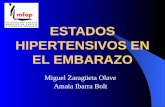 Miguel Zaragüeta Olave Amaia Ibarra Bolt ESTADOS HIPERTENSIVOS EN EL EMBARAZO.