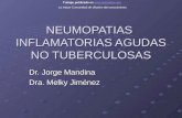 NEUMOPATIAS INFLAMATORIAS AGUDAS NO TUBERCULOSAS Dr. Jorge Mandina Dra. Melky Jiménez Trabajo publicado en  La mayor.