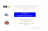 Lineamientos  para proyecto de titulacion UPN.pdf