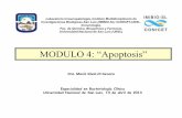 MODULO 4, Apoptosis Dra. Silvia Di Genaro