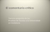 09/11/20131 El comentario crítico Tercera pregunta de las Pruebas de Acceso a la Universidad en Andalucía.