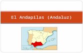 El Andapilas (Andaluz). Andaluz Única variedad dialectal que no es de origen románico El andaluz se trata de la evolución del castellano por los colonizadores.