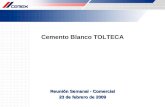 Cemento Blanco TOLTECA Reunión Semanal - Comercial 23 de febrero de 2009.