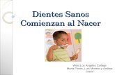 Dientes Sanos Comienzan al Nacer West Los Angeles College Maria Flores, Luis Moreno y Andrea Cates.