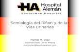 Semiología del Riñon y de las Vías Urinarias Martín M. Diaz Especialista en Clínica Médica martindiaz@hospitalaleman.com.