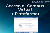 Acceso al Campus Virtual ( Plataforma) ( Plataforma)