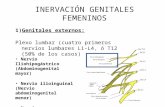 INERVACION genitales femeninos