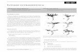 Litiasis intrahepatica (SACD).pdf