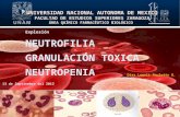Neutrofilia (Expo)