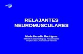 RELAJANTES NEUROMUSCULARES María Heredia Rodríguez MIR de Anestesiología y Reanimación Hospital Clínico Universitario de Valladolid.