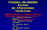 Cirugía de mínimo Acceso en Afecciones Torácicas Experiencia y Proyecciones Hospital Universitario Dr. Carlos J. Finlay. Ciudad de la Habana 2007 Dr. Jesús.