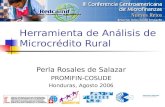 1 Herramienta de Análisis de Microcrédito Rural Perla Rosales de Salazar PROMIFIN-COSUDE Honduras, Agosto 2006.