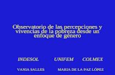 Observatorio de las percepciones y vivencias de la pobreza desde un enfoque de género INDESOL UNIFEM COLMEX VANIA SALLES MARIA DE LA PAZ LÓPEZ.