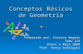 Conceptos Básicos de Geometría Preparado por: Viviana Negrón Tedu 225 Enero a Mayo 2008 Prof. Nancy Rodríguez.