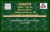 ISSSTE ISSSTE CMN 20 de Noviembre Departamento de Cirugía Experimental SINDROME DE ZOLLINGER ELLISON.