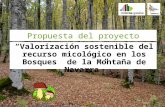 Valorización sostenible del recurso micológico en los Bosques de la Montaña de Navarra.