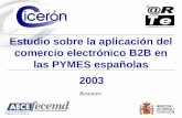 2003 Estudio sobre la aplicación del comercio electrónico B2B en las PYMES españolas Resumen.