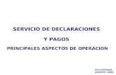 SERVICIO DE DECLARACIONES Y PAGOS PRINCIPALES ASPECTOS DE OPERACION PLATAFORMA AGOSTO 2006.