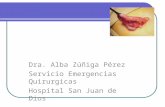Apendicitis Aguda Dra. Alba Zúñiga Pérez Servicio Emergencias Quirurgicas Hospital San Juan de Dios.