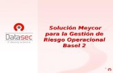 1 Solución Meycor para la Gestión de Riesgo Operacional Basel 2.