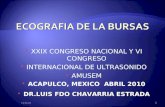 XXIX CONGRESO NACIONAL Y VI CONGRESO INTERNACIONAL DE ULTRASONIDO AMUSEM ACAPULCO, MEXICO ABRIL 2010 DR.LUIS FDO CHAVARRIA ESTRADA DR.LUIS FDO CHAVARRIA