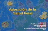 Valoraci ó n de la Salud Fetal Dr. Maximiliano Katz Tocoginecología Htal. Durand drmaximilianokatz@yahoo.com.ar.