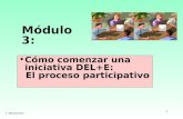 1 Módulo 3: F. Alburquerque Cómo comenzar una iniciativa DEL+E: El proceso participativo.