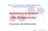Administración de Empresas Técnico Universitario en Administración de Empresas y Comercio Exterior Función de Dirección Profesor: Juan Papic Condori.