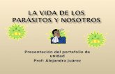 Presentación del portafolio de unidad Prof: Alejandra Juárez.