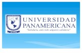 Visión Ser una opción para la profesionalización, reconocida por la legislación guatemalteca dentro del sistema de educación superior, sustentada en la.