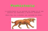 Prehistoria La prehistoria es un periodo de tiempo en el que parecen los hominidos,y diversos animales. Ahora hoy voy a enseñar una variedad de ellos.