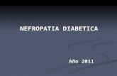 NEFROPATIA DIABETICA Año 2011. Paciente de 25 años, DBT tipo 1 desde lo 12 años, bajo tratamiento con Insulina, que es derivada a este Hospital para evaluación.