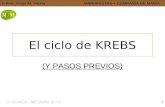 © Prof. Víctor M. VitoriaMARIANISTAS + COMPAÑÍA DE MARÍA 1 El ciclo de KREBS (Y PASOS PREVIOS)