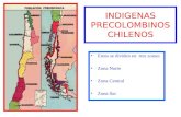 INDIGENAS PRECOLOMBINOS CHILENOS Estos se dividen en tres zonas: Zona Norte Zona Central Zona Sur.
