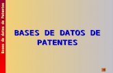 BASES DE DATOS DE PATENTES Bases de datos de Patentes