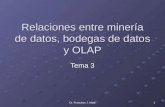 Dr. Francisco J. Mata 1 Relaciones entre minería de datos, bodegas de datos y OLAP Tema 3.