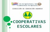 COOPERATIVAS ESCOLARES Ministerio de Agricultura y Ganadería Viceministerio de Agricultura DIRECCIÓN DE EDUCACIÓN AGRARIA.