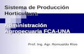 Sistema de Producción Horticultura Administración Agropecuaria FCA-UNA Prof. Ing. Agr. Romualdo Ríos.