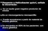 Respecto a Helicobacter pylori, señale lo incorrecto: Respecto a Helicobacter pylori, señale lo incorrecto: a) Es un bacilo gram negativo productor de.
