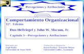 Comportamiento Organizacional 12ª. Edición Capítulo 3Percepciones y Atribuciones Don Hellriegel y John W. Slocum, Jr. Percepciones y Atribuciones Traducción.