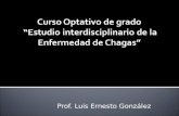 Prof. Luis Ernesto González. Definición Vías de infección Evolución clínica Teorías sobre la enfermedad-grados de evolución - Sintomatología Chagas agudo.